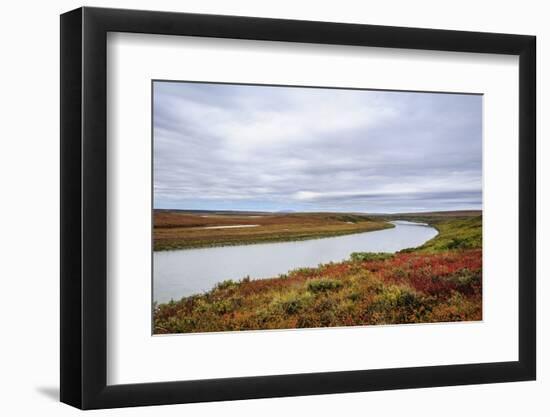 USA, Alaska, Noatak National Preserve. Autumn colors along the Noatak River.-Fredrik Norrsell-Framed Photographic Print