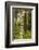 USA, Alaska, Prince of Wales Island, Kasaan. Totem pole and forest.-Jaynes Gallery-Framed Photographic Print