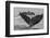 USA, Alaska, Tongass National Forest. Humpback whales diving.-Jaynes Gallery-Framed Photographic Print