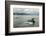 USA, Alaska, Tongass National Forest. Humpback whales surfacing & diving.-Jaynes Gallery-Framed Photographic Print