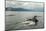 USA, Alaska, Tongass National Forest. Humpback whales surfacing & diving.-Jaynes Gallery-Mounted Photographic Print