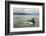 USA, Alaska, Tongass National Forest. Humpback whales surfacing & diving.-Jaynes Gallery-Framed Photographic Print