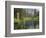 USA, Alaska, Tongass National Forest. Landscape with Beaver Pond on Fish Creek.-Jaynes Gallery-Framed Photographic Print