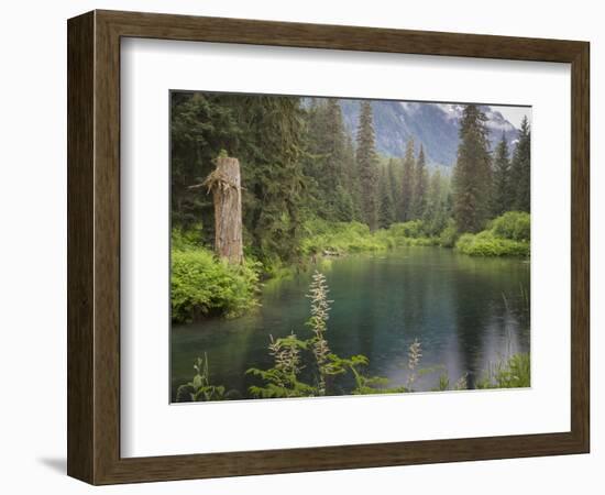 USA, Alaska, Tongass National Forest. Landscape with Beaver Pond on Fish Creek.-Jaynes Gallery-Framed Photographic Print