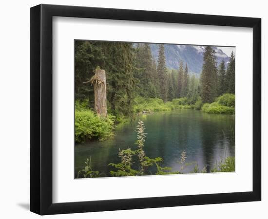 USA, Alaska, Tongass National Forest. Landscape with Beaver Pond on Fish Creek.-Jaynes Gallery-Framed Photographic Print