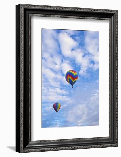 USA, Albuquerque. International Balloon Fiesta-Connie Bransilver-Framed Photographic Print