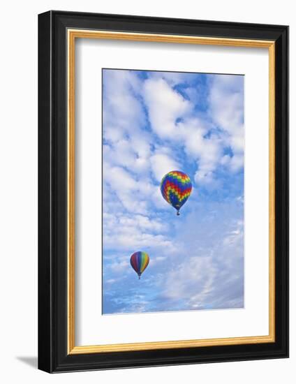 USA, Albuquerque. International Balloon Fiesta-Connie Bransilver-Framed Photographic Print