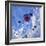 USA, Albuquerque. International Balloon Fiesta-Connie Bransilver-Framed Photographic Print