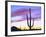 USA, Arizona, a Saguaro Cactus at Dusk-Jaynes Gallery-Framed Photographic Print