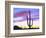 USA, Arizona, a Saguaro Cactus at Dusk-Jaynes Gallery-Framed Photographic Print