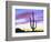 USA, Arizona, a Saguaro Cactus at Dusk-Jaynes Gallery-Framed Photographic Print