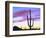 USA, Arizona, a Saguaro Cactus at Dusk-Jaynes Gallery-Framed Photographic Print