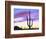 USA, Arizona, a Saguaro Cactus at Dusk-Jaynes Gallery-Framed Photographic Print