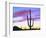 USA, Arizona, a Saguaro Cactus at Dusk-Jaynes Gallery-Framed Photographic Print