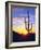 USA, Arizona, a Saguaro Cactus at Sunset-Jaynes Gallery-Framed Photographic Print