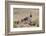 USA, Arizona, Amado. Male Gambel's Quail and Chicks on a Rock-Wendy Kaveney-Framed Photographic Print