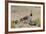 USA, Arizona, Amado. Male Gambel's Quail and Chicks on a Rock-Wendy Kaveney-Framed Photographic Print