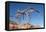 USA, Arizona and Nevada, Hoover Dam, Power Poles-Catharina Lux-Framed Premier Image Canvas