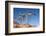 USA, Arizona and Nevada, Hoover Dam, Power Poles-Catharina Lux-Framed Photographic Print