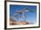 USA, Arizona and Nevada, Hoover Dam, Power Poles-Catharina Lux-Framed Photographic Print