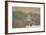 USA, Arizona, Buckeye. a Pair of Burrowing Owls-Wendy Kaveney-Framed Photographic Print