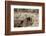 USA, Arizona, Buckeye. Two Harris's Antelope Squirrels on Log-Wendy Kaveney-Framed Photographic Print