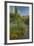 USA, Arizona, Coronado NF. Scenic of Saguaros and Paper Flowers-Cathy & Gordon Illg-Framed Photographic Print