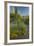 USA, Arizona, Coronado NF. Scenic of Saguaros and Paper Flowers-Cathy & Gordon Illg-Framed Photographic Print