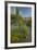 USA, Arizona, Coronado NF. Scenic of Saguaros and Paper Flowers-Cathy & Gordon Illg-Framed Photographic Print