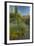 USA, Arizona, Coronado NF. Scenic of Saguaros and Paper Flowers-Cathy & Gordon Illg-Framed Photographic Print