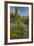 USA, Arizona, Coronado NF. Scenic of Saguaros and Paper Flowers-Cathy & Gordon Illg-Framed Photographic Print