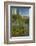 USA, Arizona, Coronado NF. Scenic of Saguaros and Paper Flowers-Cathy & Gordon Illg-Framed Photographic Print