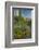 USA, Arizona, Coronado NF. Scenic of Saguaros and Paper Flowers-Cathy & Gordon Illg-Framed Photographic Print