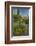 USA, Arizona, Coronado NF. Scenic of Saguaros and Paper Flowers-Cathy & Gordon Illg-Framed Photographic Print