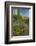 USA, Arizona, Coronado NF. Scenic of Saguaros and Paper Flowers-Cathy & Gordon Illg-Framed Photographic Print