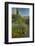 USA, Arizona, Coronado NF. Scenic of Saguaros and Paper Flowers-Cathy & Gordon Illg-Framed Photographic Print