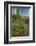 USA, Arizona, Coronado NF. Scenic of Saguaros and Paper Flowers-Cathy & Gordon Illg-Framed Photographic Print