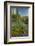 USA, Arizona, Coronado NF. Scenic of Saguaros and Paper Flowers-Cathy & Gordon Illg-Framed Photographic Print