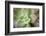 USA, Arizona. Detail of succulent plant.-Jaynes Gallery-Framed Photographic Print