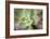 USA, Arizona. Detail of succulent plant.-Jaynes Gallery-Framed Photographic Print