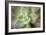 USA, Arizona. Detail of succulent plant.-Jaynes Gallery-Framed Photographic Print