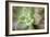 USA, Arizona. Detail of succulent plant.-Jaynes Gallery-Framed Photographic Print