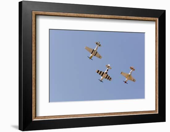 USA, Arizona, Glendale, Luke Air Force Base. P-51 Mustangs Flying-Jaynes Gallery-Framed Photographic Print