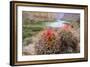 Usa, Arizona, Grand Canyon National Park. Barrel Cactus and Colorado River./n-Merrill Images-Framed Photographic Print