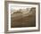 USA, Arizona, Grand Canyon National Park, Buttes and Haze on the South Rim-Ann Collins-Framed Photographic Print