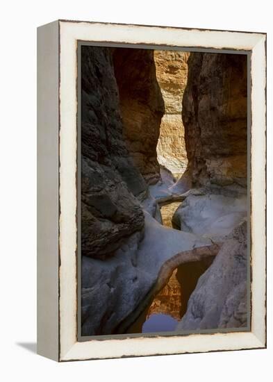 USA, Arizona, Grand Canyon National Park. Canyon Reflections-Don Grall-Framed Premier Image Canvas