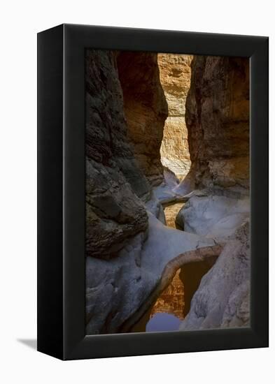 USA, Arizona, Grand Canyon National Park. Canyon Reflections-Don Grall-Framed Premier Image Canvas