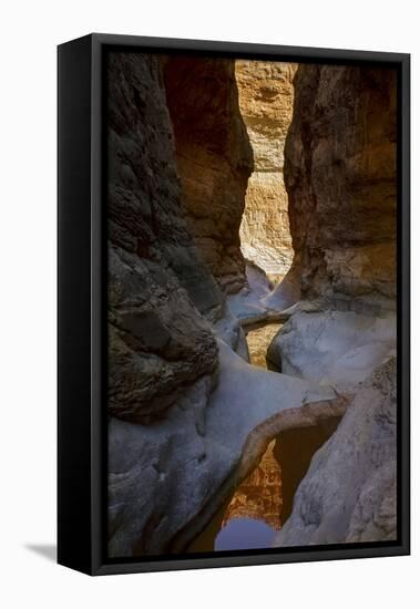 USA, Arizona, Grand Canyon National Park. Canyon Reflections-Don Grall-Framed Premier Image Canvas