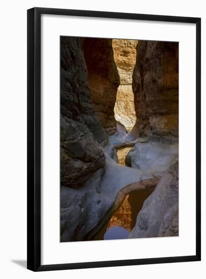 USA, Arizona, Grand Canyon National Park. Canyon Reflections-Don Grall-Framed Photographic Print