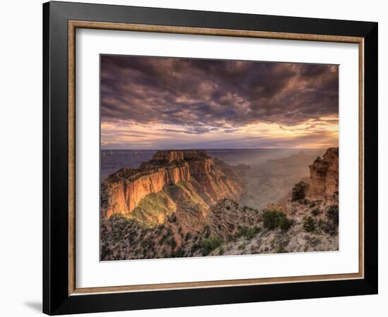 USA, Arizona, Grand Canyon National Park, North Rim, Cape Royale-Michele Falzone-Framed Photographic Print